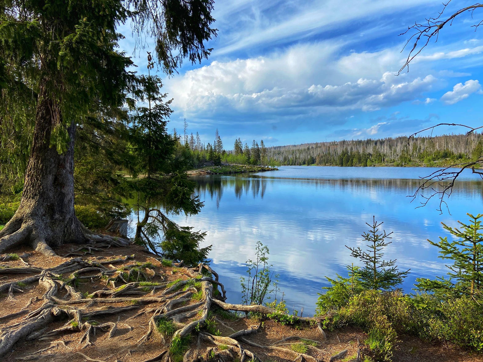 Seenlandschaft
